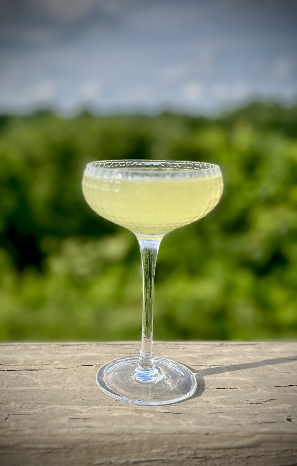 Pineapple Margarita